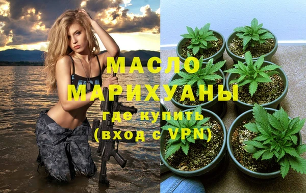 дмт Бородино