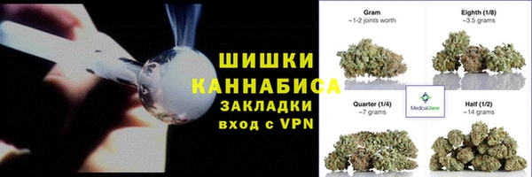 дмт Бородино