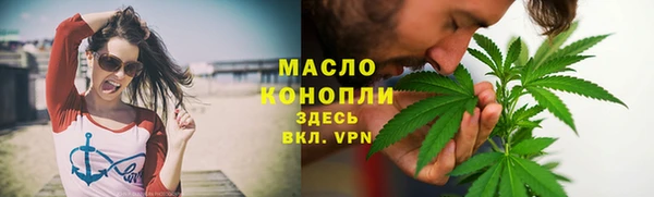 дмт Бородино