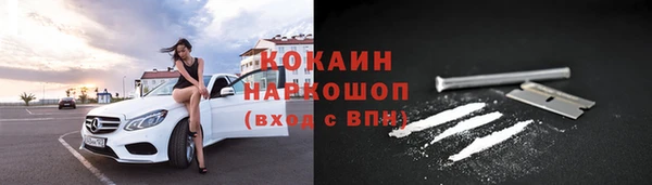 дмт Бородино
