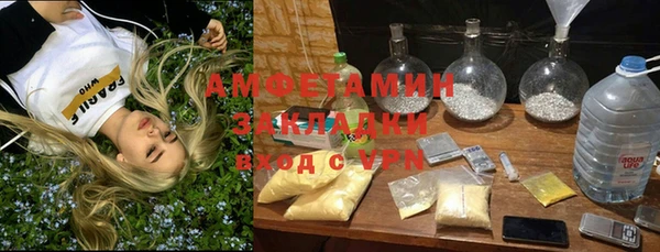 дмт Бородино