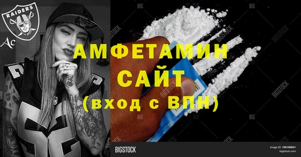 дмт Бородино