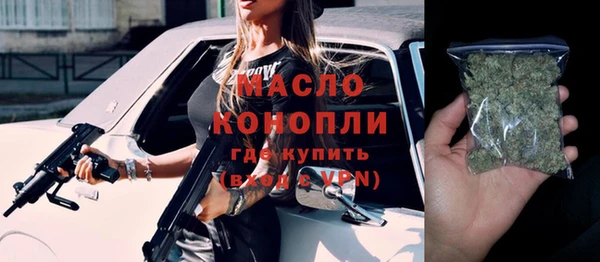 дмт Бородино