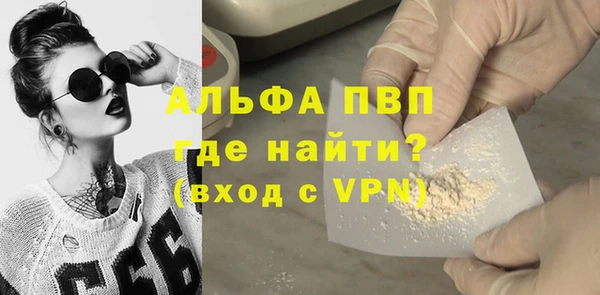дмт Бородино