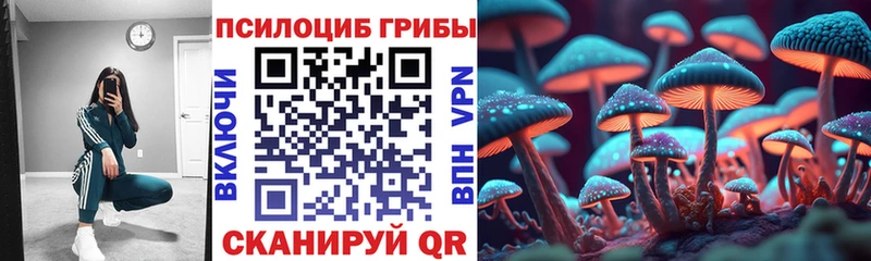 Псилоцибиновые грибы мицелий  купить   Новосокольники 